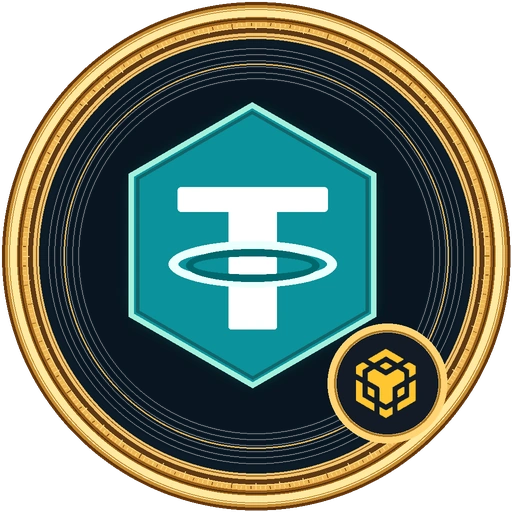 BNB 체인 테더(USDT) 코인